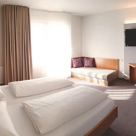 Hotel-restaurant Teuschler-mogg Hotel 3*