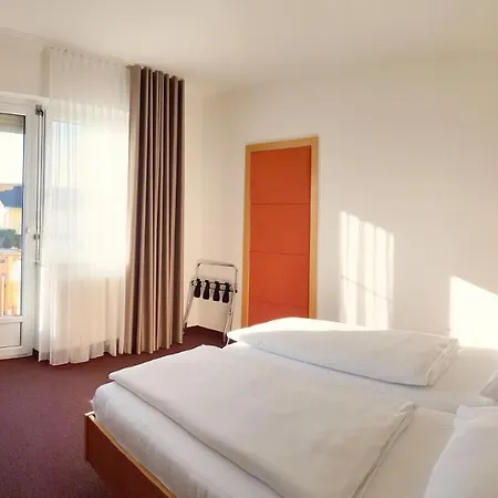 Hotel Hotel-restaurant Teuschler-mogg Bad Waltersdorf