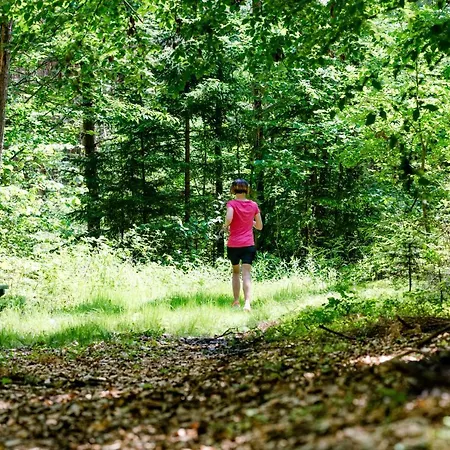 Hotel-restaurant Teuschler-mogg Inklusiv Genusscard Bad Waltersdorf