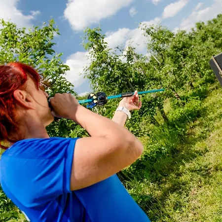 Szálloda Hotel-restaurant Teuschler-mogg Inklusiv Genusscard 3*