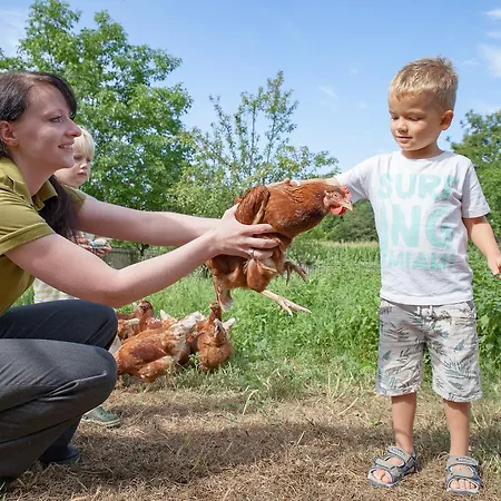 Hotel-restaurant Teuschler-mogg Inklusiv Genusscard Szálloda 3*