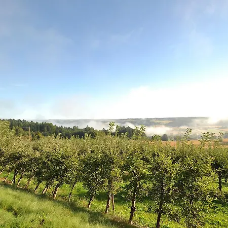 Hotel-restaurant Teuschler-mogg Inklusiv Genusscard