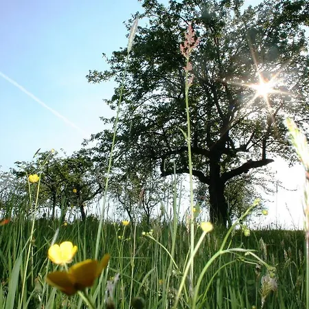 Hotel-restaurant Teuschler-mogg Inklusiv Genusscard Szálloda Bad Waltersdorf