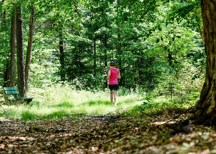 Hotel-restaurant Teuschler-mogg Bad Waltersdorf