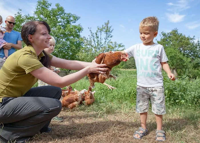 Hotel-restaurant Teuschler-mogg Inklusiv Genusscard Hotel 3*