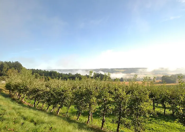 Hotel-restaurant Teuschler-mogg