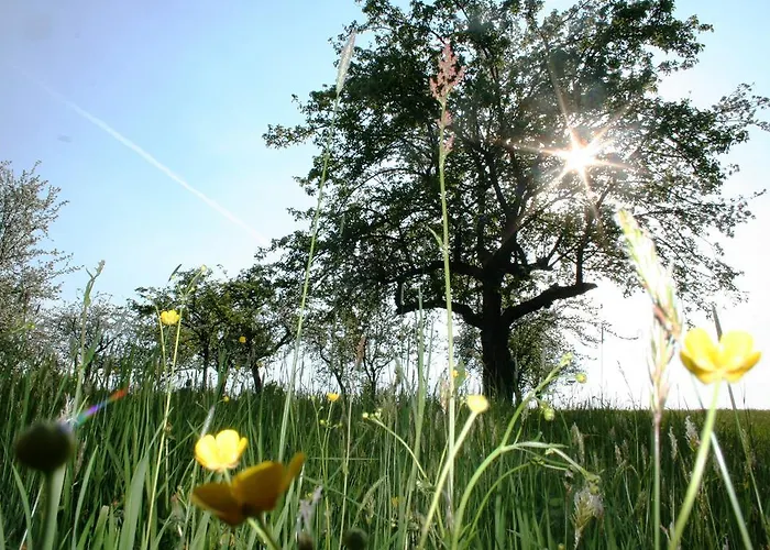 Hotel-restaurant Teuschler-mogg Inklusiv Genusscard Hotel Bad Waltersdorf